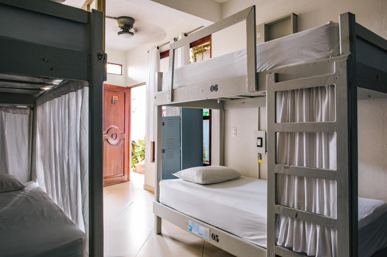 埃斯孔迪多港 Puerto Dreams H旅舍 外观 照片